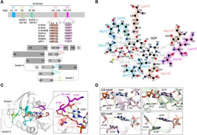 Divergent Mechanisms Activating RAS and Small GTPases Through Post-translational Modification